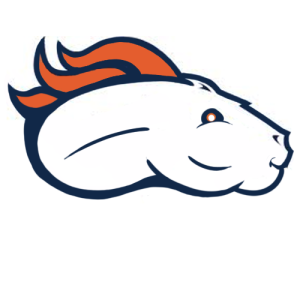 Denver Broncos Fat Logo fabric transfer